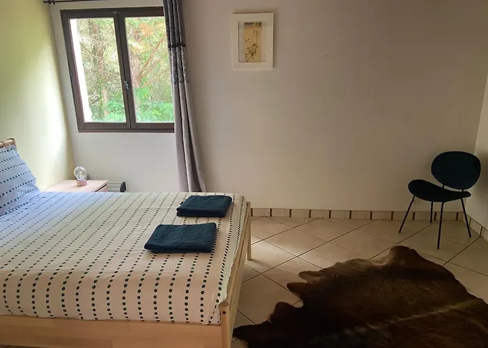 Prázdninový dům Mas Des Maje